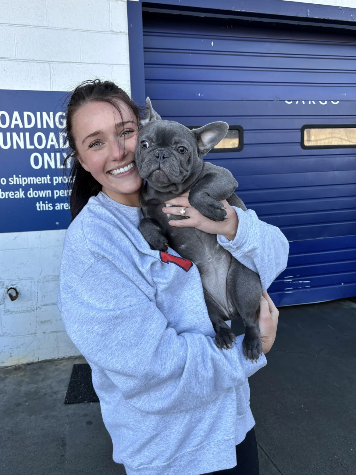 Woman holding blue Frenchie puppy
